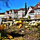 Frühling in Schwäbisch Hall