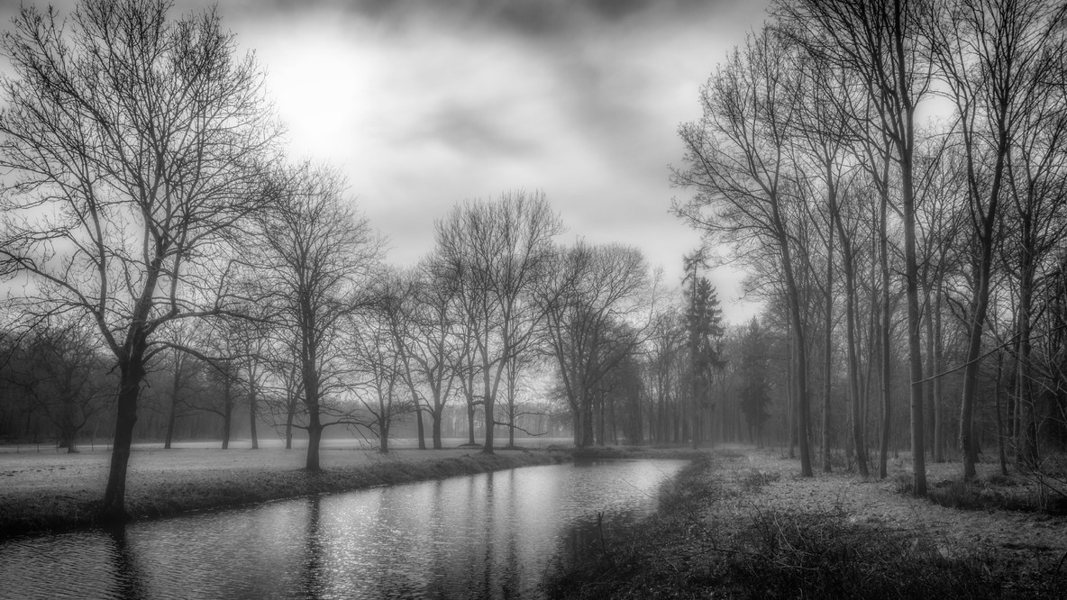 Frühling in schwarz-weiss