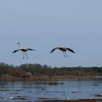 Frühling in Schweden