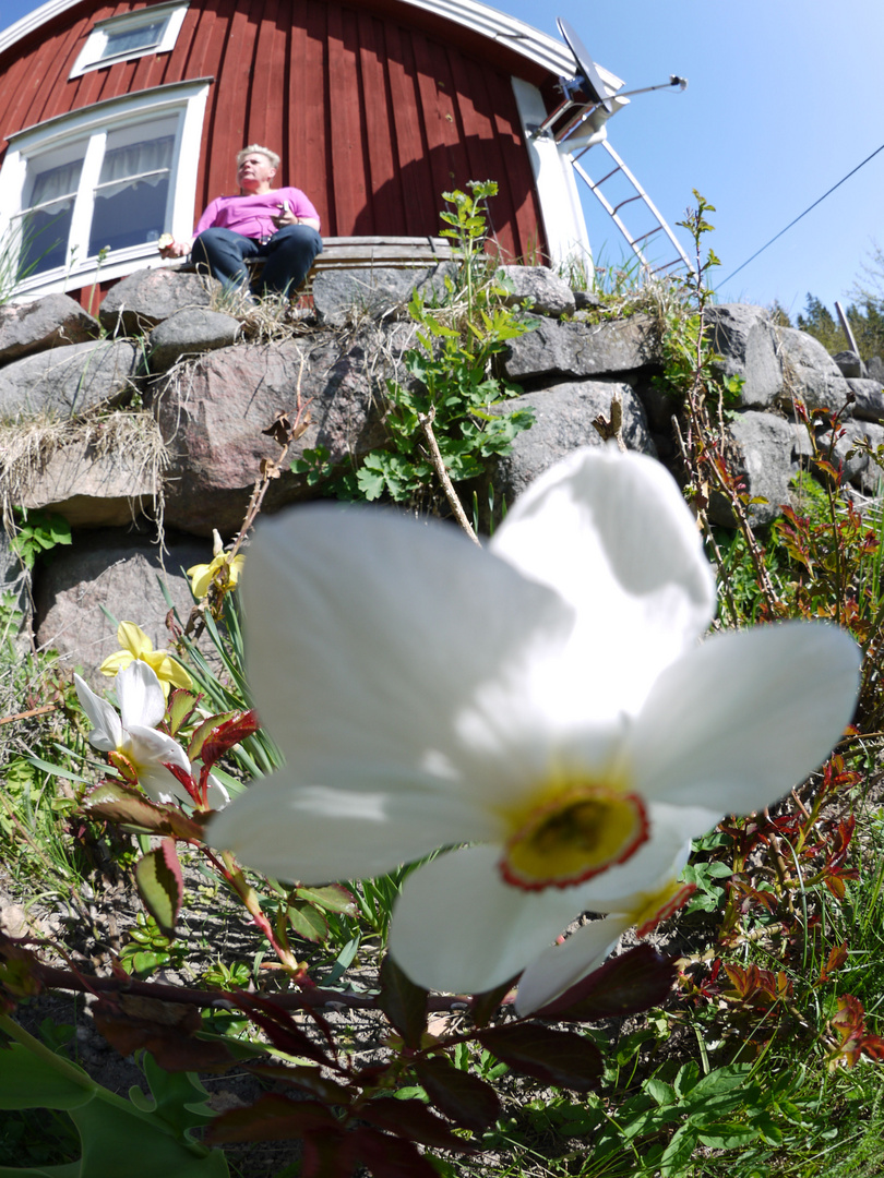 Frühling in Schweden