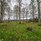 Frühling in Schweden