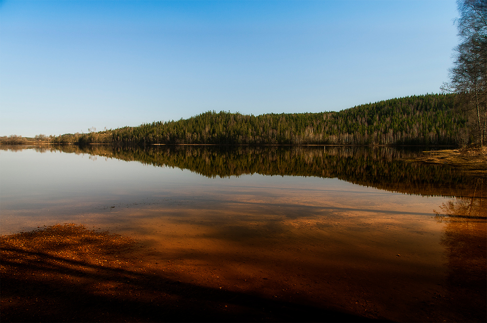 Frühling in Schweden