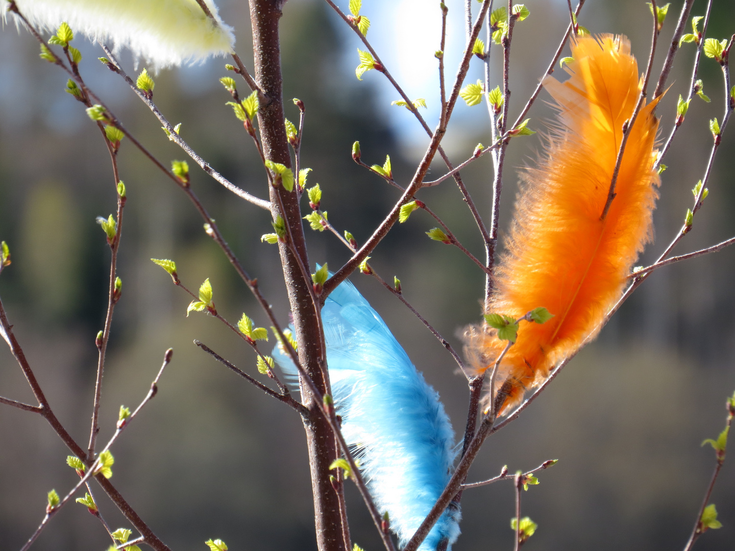 Frühling in Schweden............................