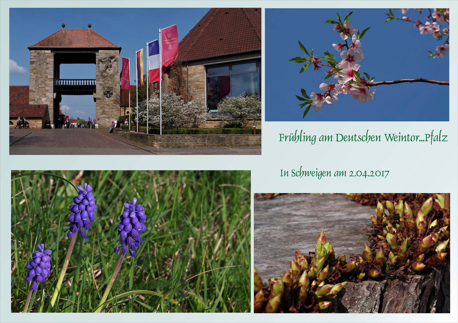 Frühling in Schweigen - Pfalz 