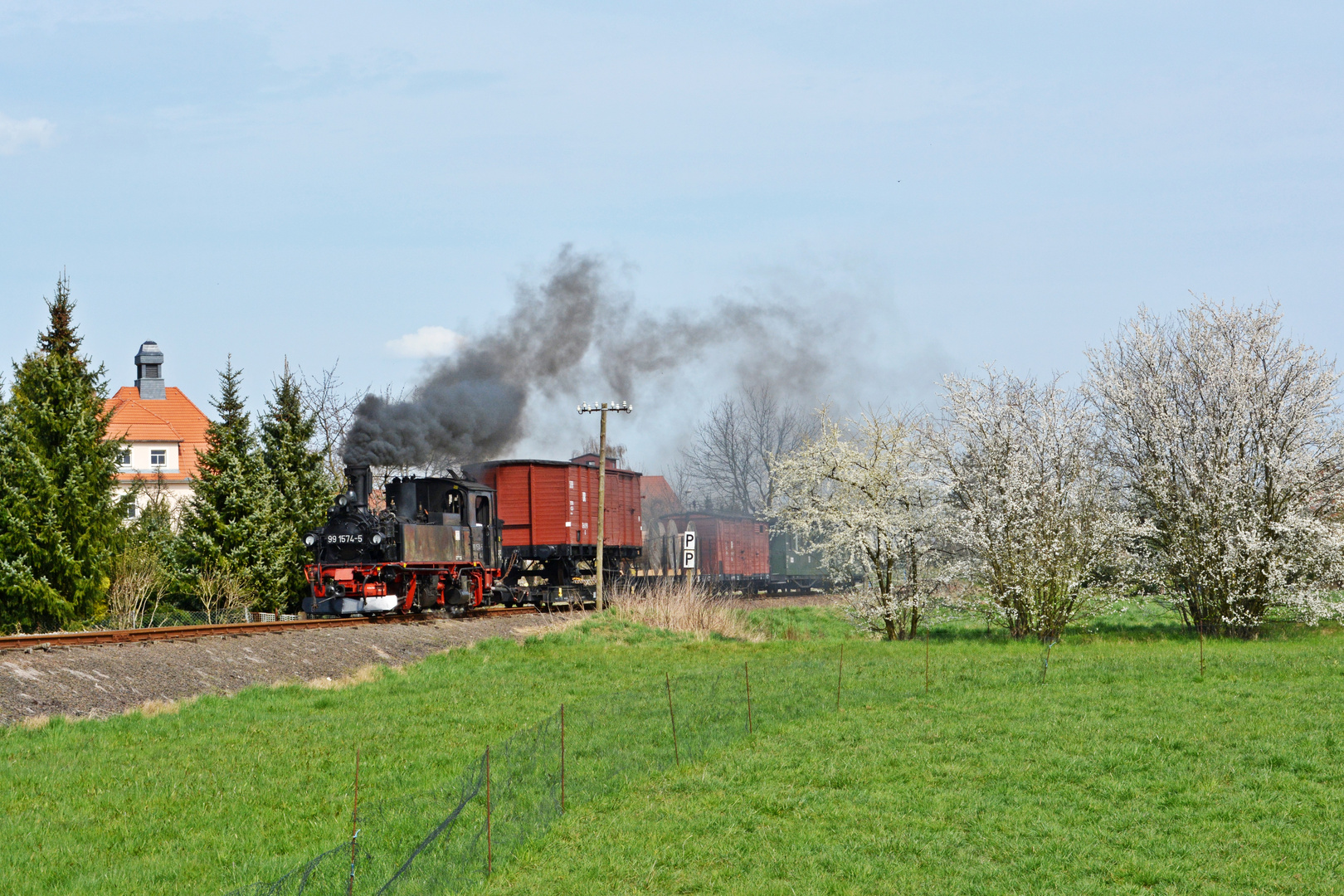 Frühling in Schweta