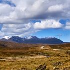 Frühling in Scotland