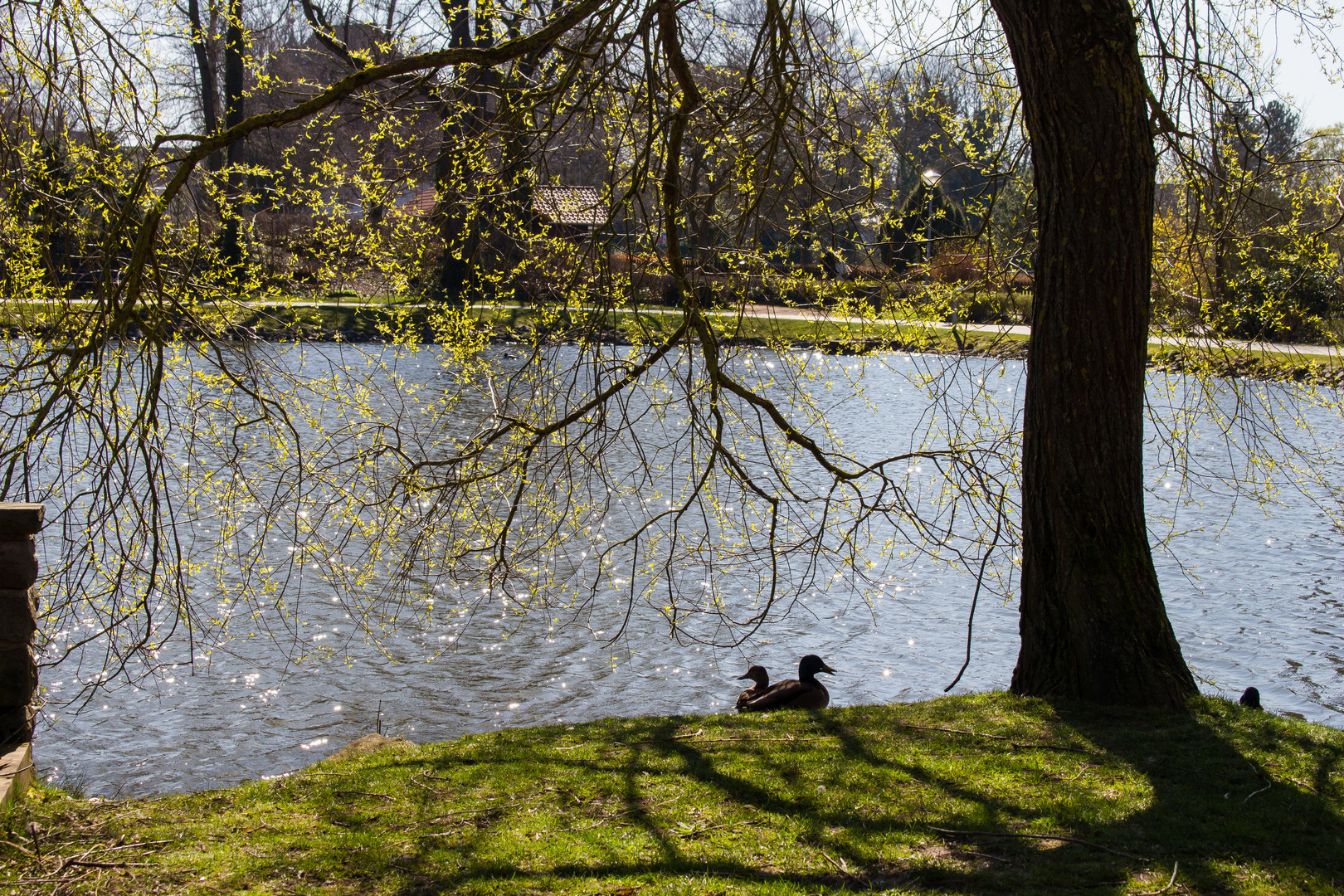 Frühling in Seesen