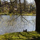 Frühling in Seesen