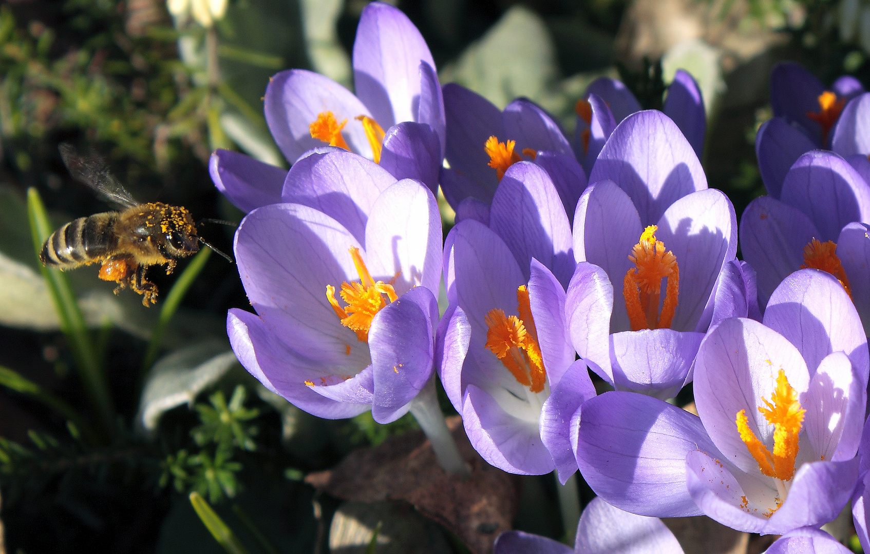 Frühling in Sicht