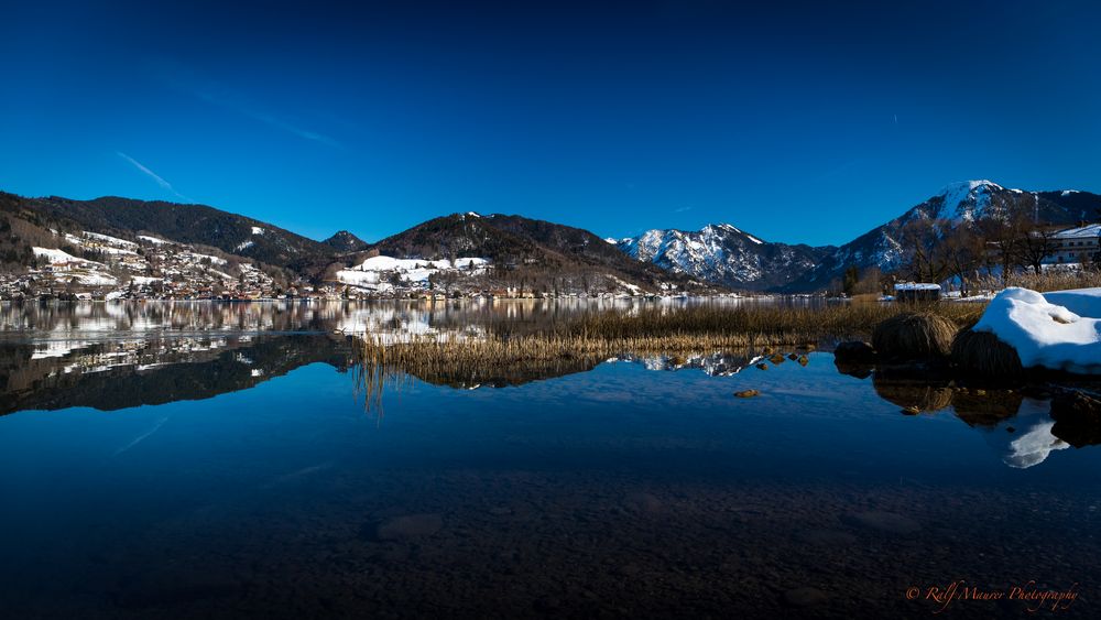 Frühling in Sicht