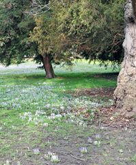 Frühling in Sicht (2)