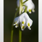 Frühling in Sicht