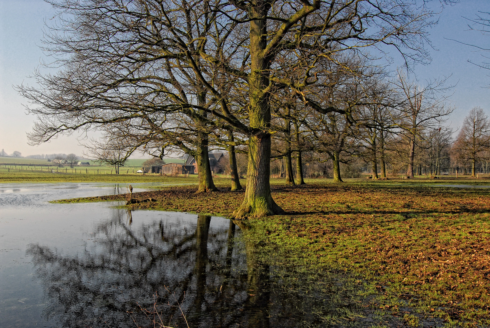 Frühling in Sicht !!