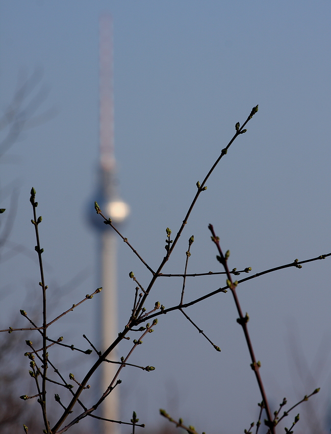 Frühling in Sicht