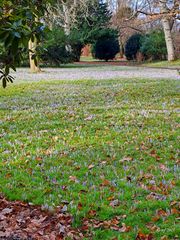 Frühling in Sicht