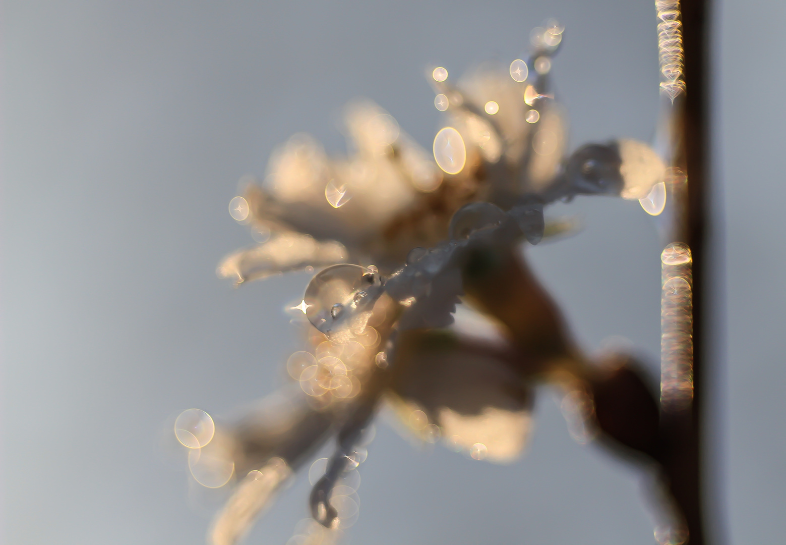 Frühling in Sicht