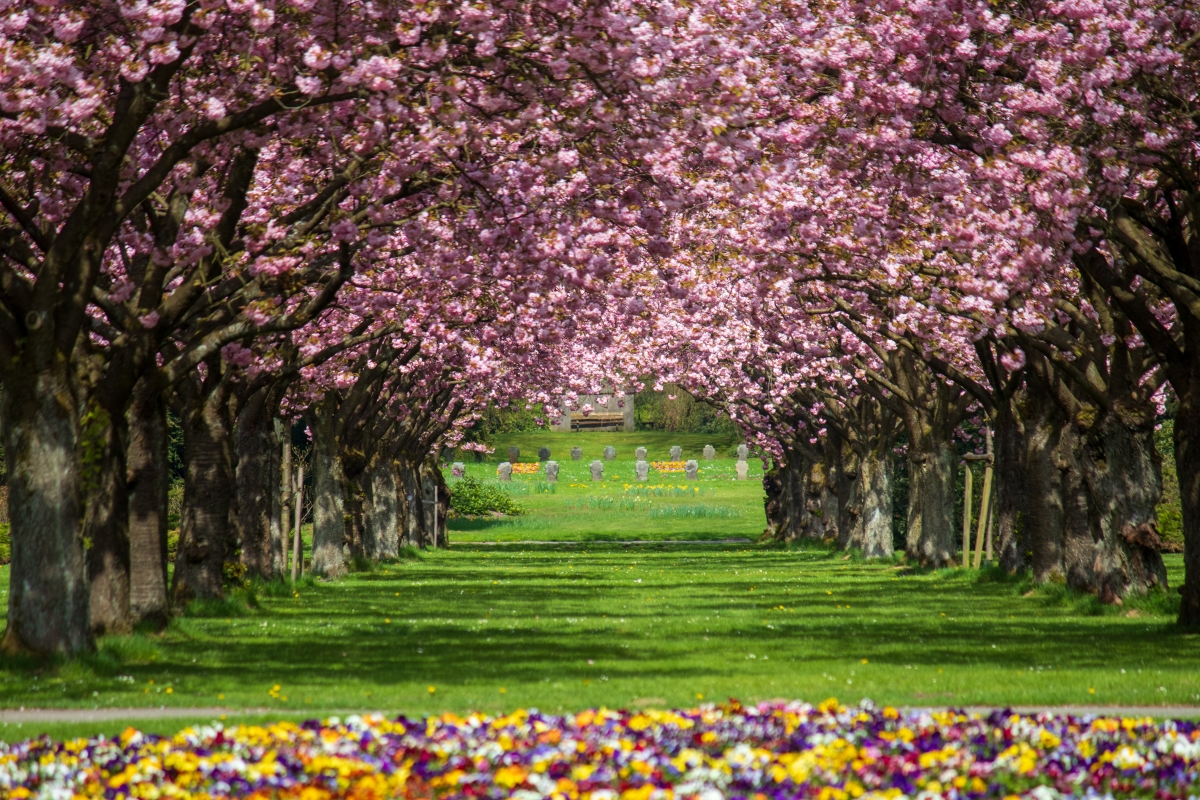 Frühling in sicht