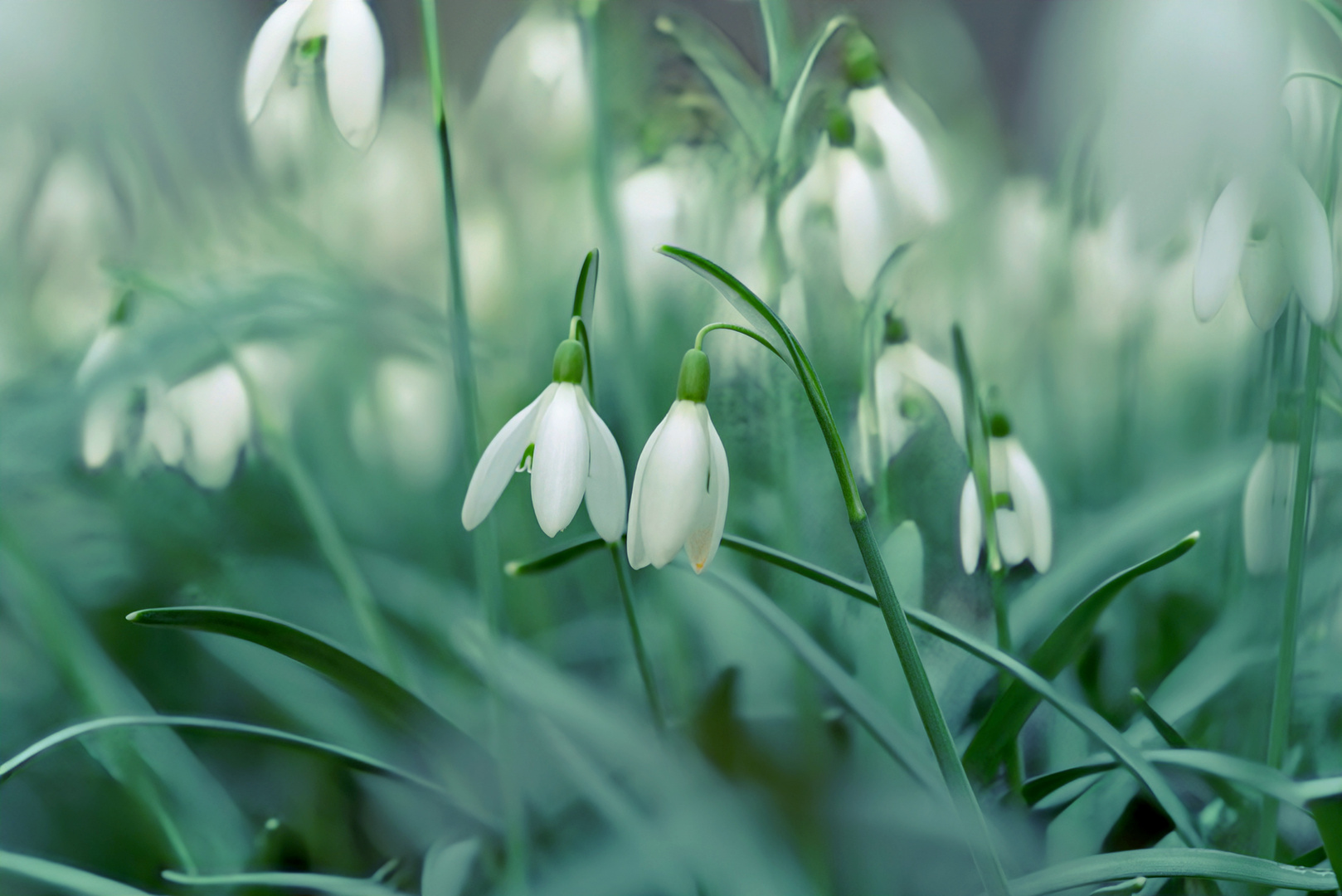 Frühling In Sicht