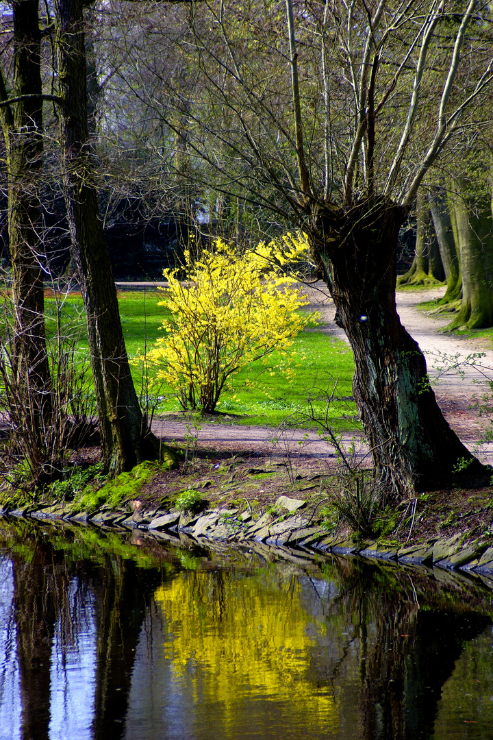  Frühling in Sicht