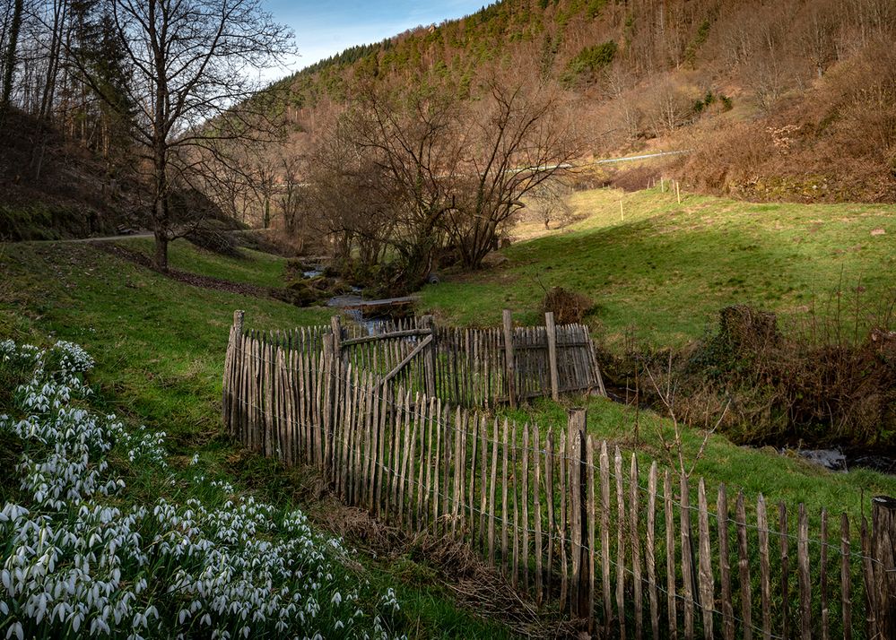 Fruehling in Sicht