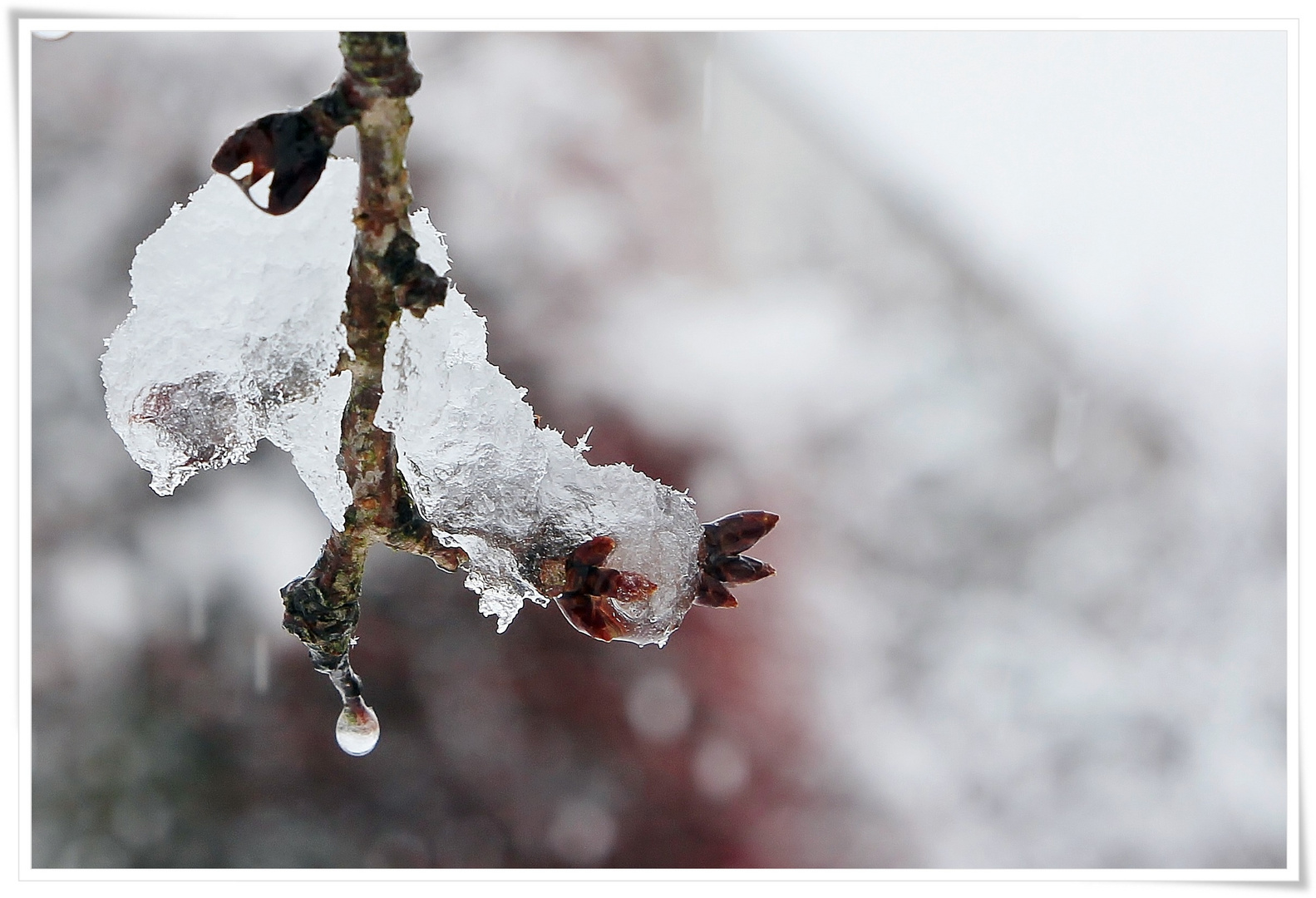 Frühling in Sicht