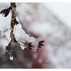 Frühling in Sicht