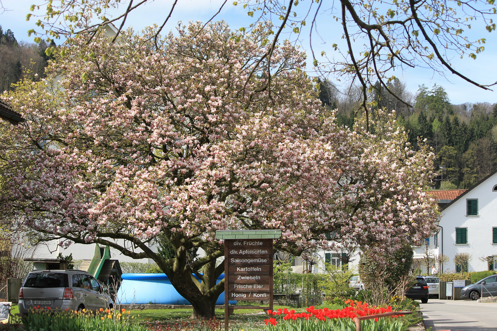 Frühling in Sicht