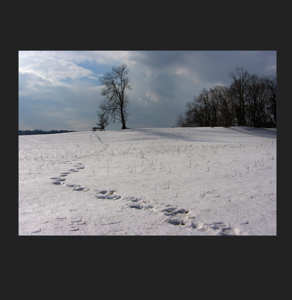 Frühling in Sicht