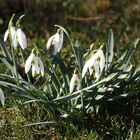 Frühling in Sicht!