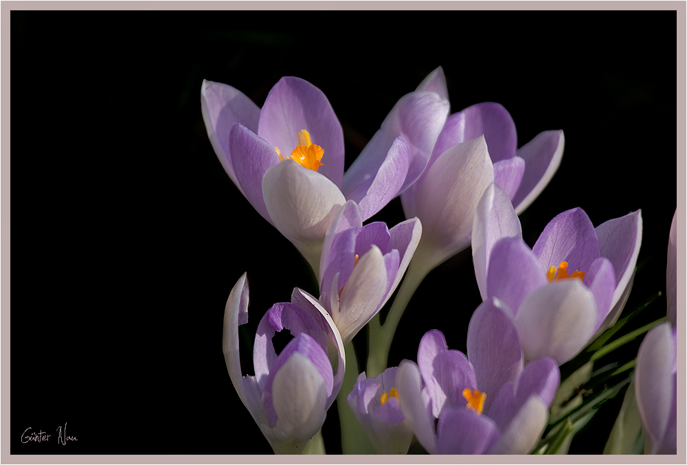 Frühling in Sicht