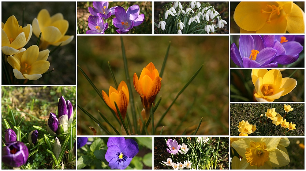 Frühling in Sicht