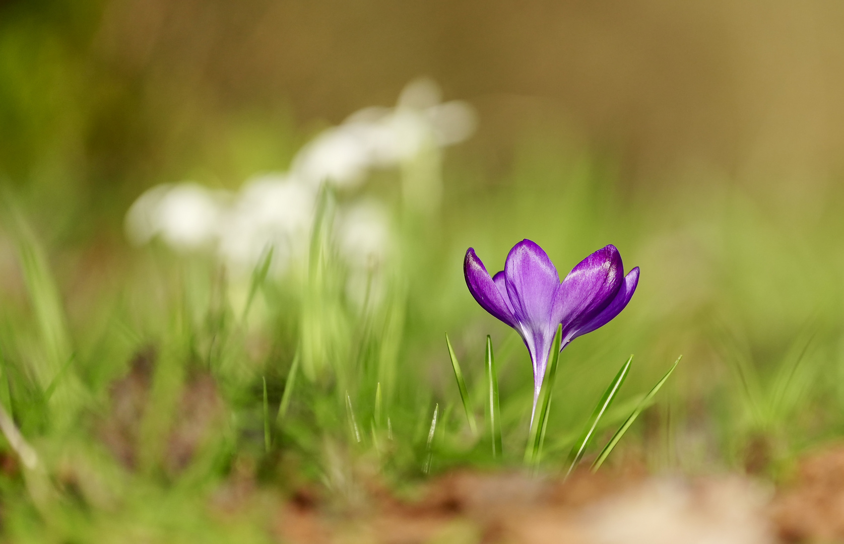 Frühling in Sicht