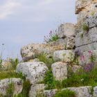 Frühling in Sicilien