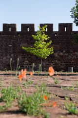 Frühling in Silves