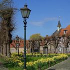 Frühling in Sint Anna ter Muiden