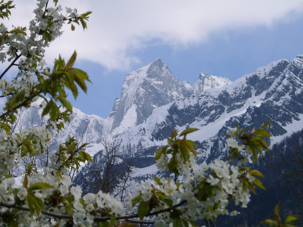 Frühling in Soglio