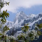 Frühling in Soglio