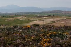 Frühling in Spanien