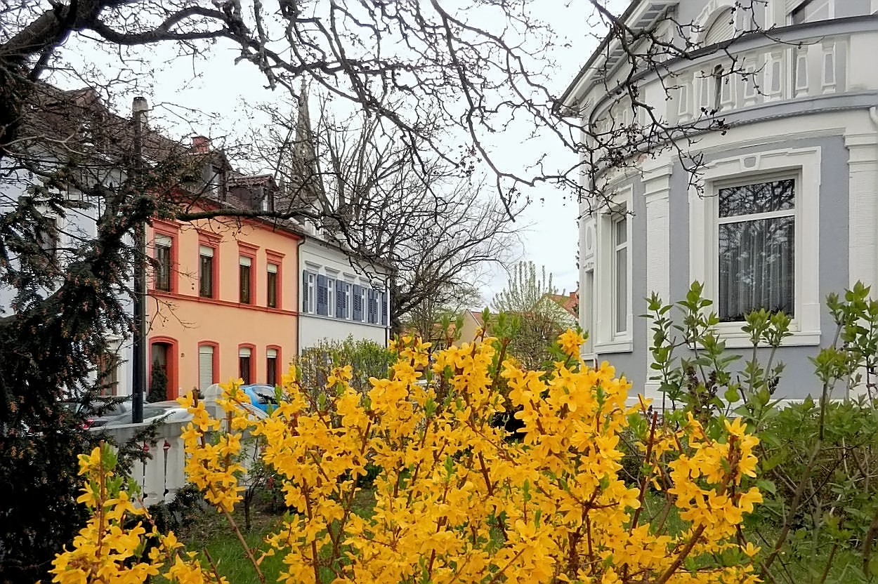 Frühling in Speyer