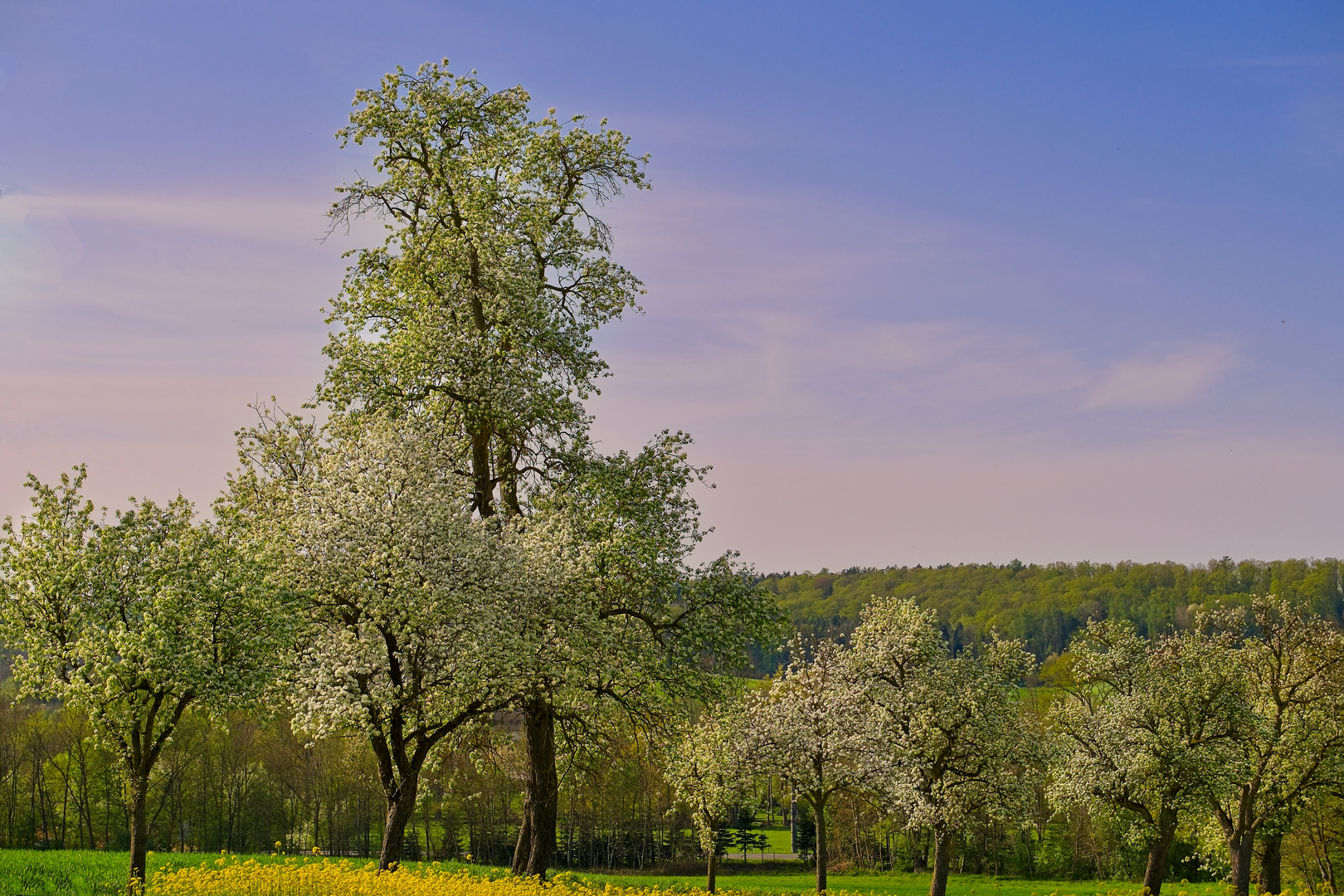 Frühling in St. Florian bei Linz