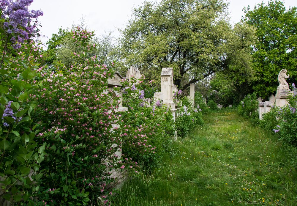 frühling in st. marx