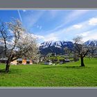 Frühling in St. Veit