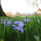 Frühling in Steinfurt