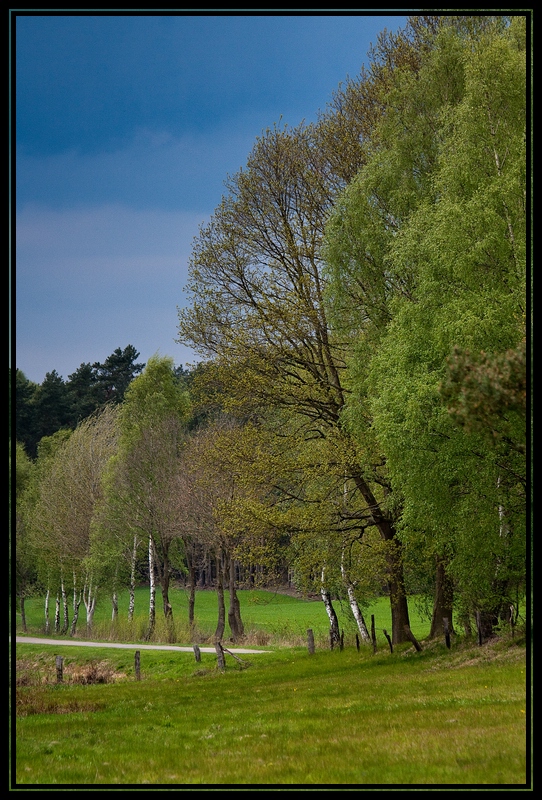 Frühling in Stöckse