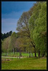 Frühling in Stöckse