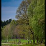 Frühling in Stöckse