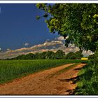 Frühling in Stormarn