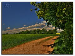 Frühling in Stormarn