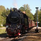 Frühling in Straßberg (Harz).