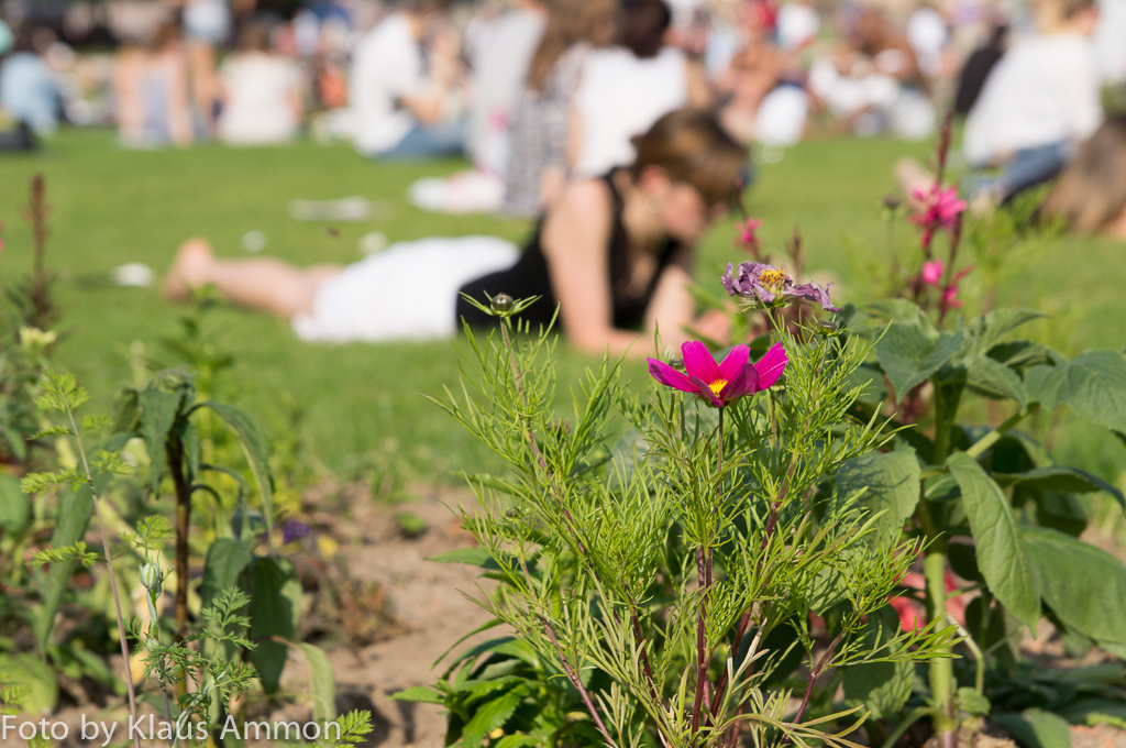 Frühling in Stuttgart 2